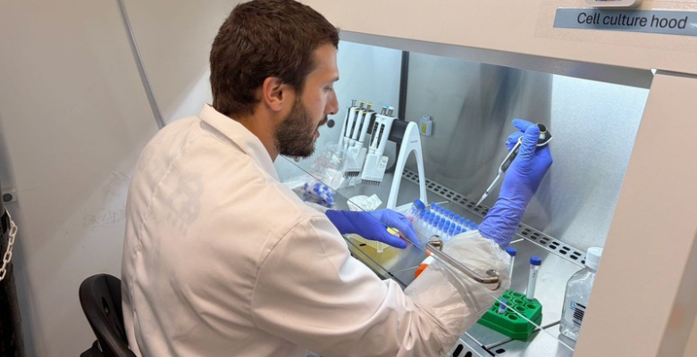 lab